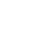 Bonham Solutions
