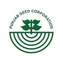 punjab seed corporation